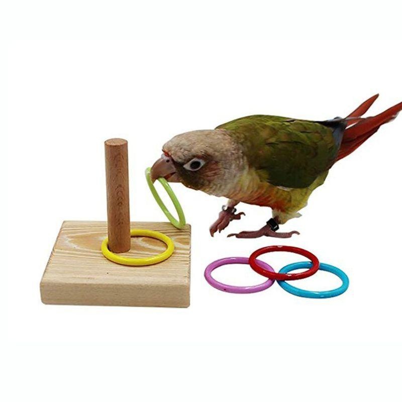 Anneau d'entraînement pour ois - Gymnastic Ring Wood avis et prix